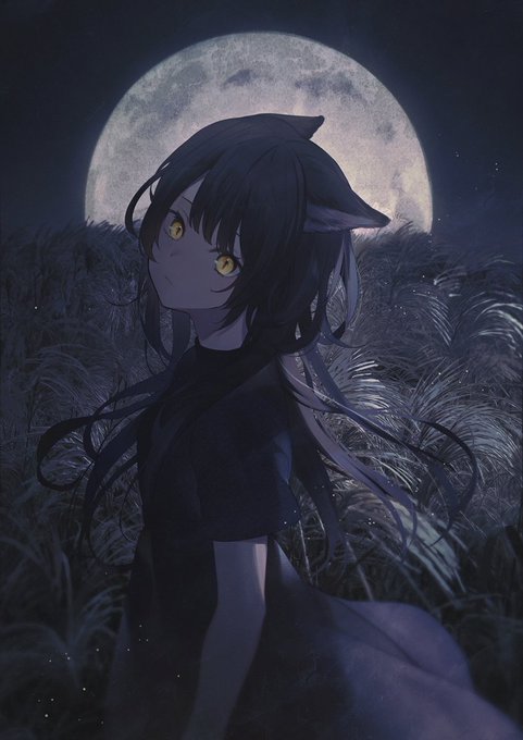「満月 夜空」のTwitter画像/イラスト(人気順)