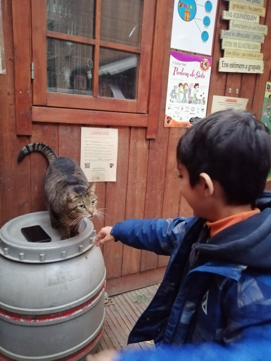 Bayt al-Thaqafa tweet media