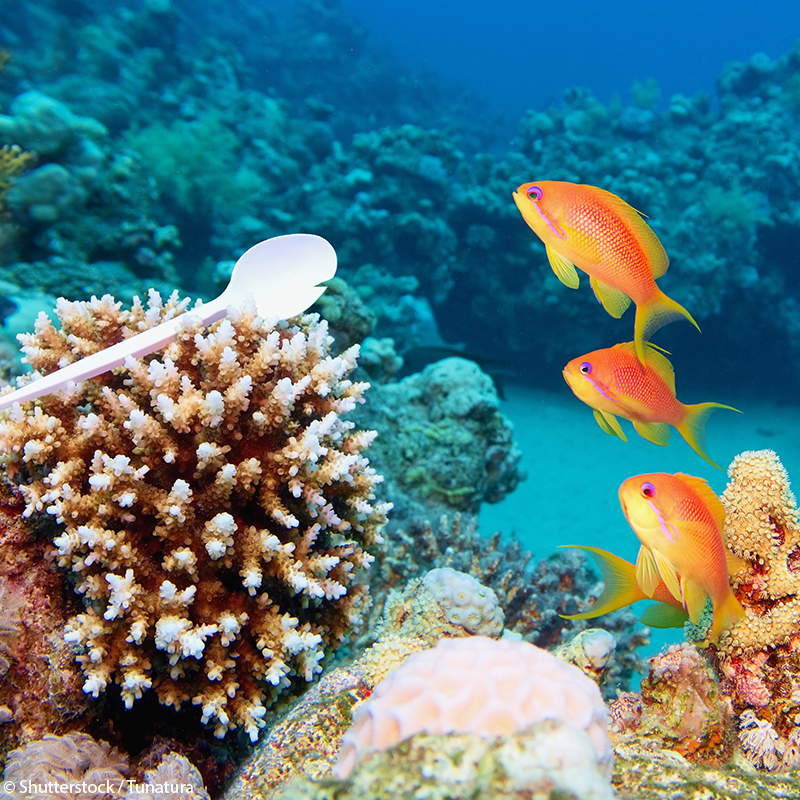 UNBiodiversity's tweet photo. Humanity cannot survive without nature. Yet, we are treating the planet like if we weren't aware of this.

At the rate things are going, biodiversity faces an imminent collapse.

Join us in saying loud and clear: we need to make peace with nature!

Via @UNESCO https://t.co/MlLhLhlsze