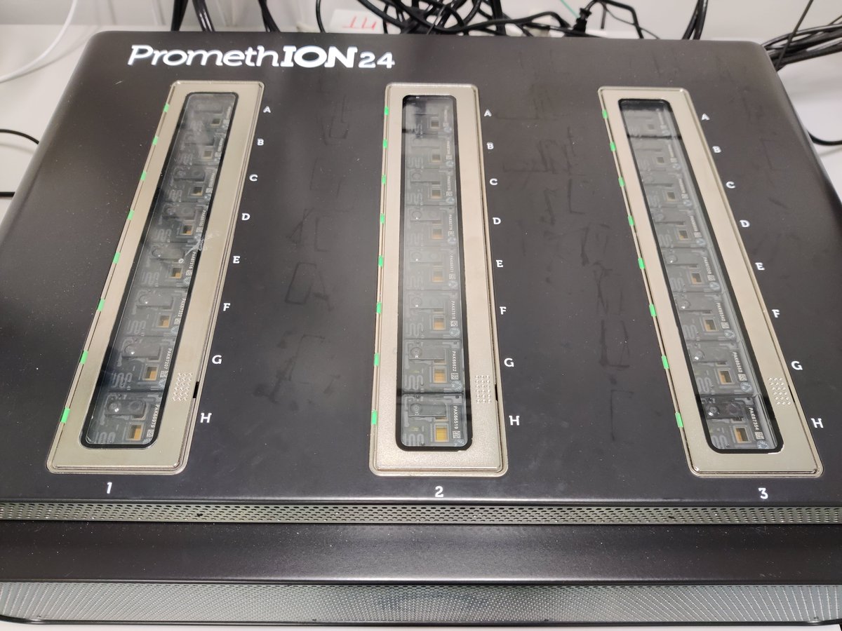 kirk3gaard's tweet image. QCing some @nanopore flowcells 😁 is there a secret trick that will export a table with flowcell IDs and pore counts? #FeatureRequest