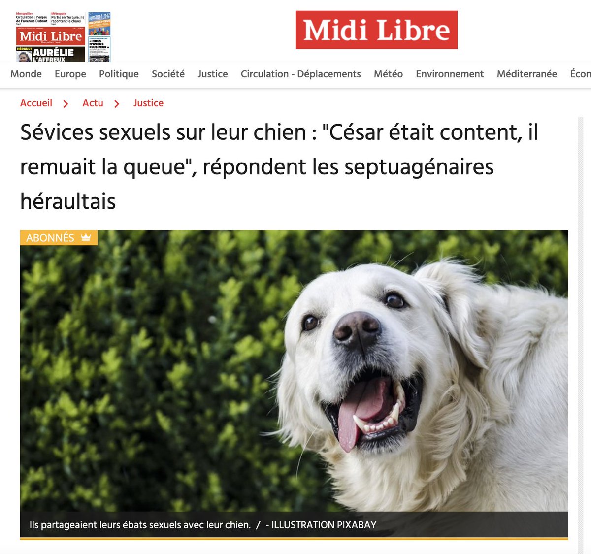 Bert_deVolontat's tweet photo. Vous vous demandiez ce que le grand public veut vraiment lire et vous en aviez assez que les médias ne vous parlent que de Palmade, écrasant les sujets qui comptent comme le climat et les retraites ? Voici l'article qui remonte le plus sur Discover cet aprem, de rien. https://t.co/BZfKyAaHXv