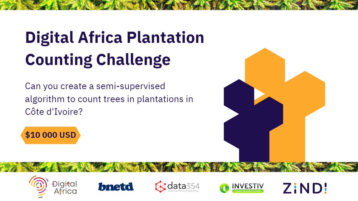 ZindiAfrica's tweet photo. ✨The Challenge is LIVE!✨ Join us for the Digital Africa Plantation Counting Challenge Launch Webinar tomorrow at 5 pm GMT.
Register👉https://t.co/6TBwrJsBIb
Join the challenge👉https://t.co/aSqgjzGiXH
#DigitalAfrica #SustainableLandUse #AI #Webinar #Zindi #data354 https://t.co/hZs3qYcGs8