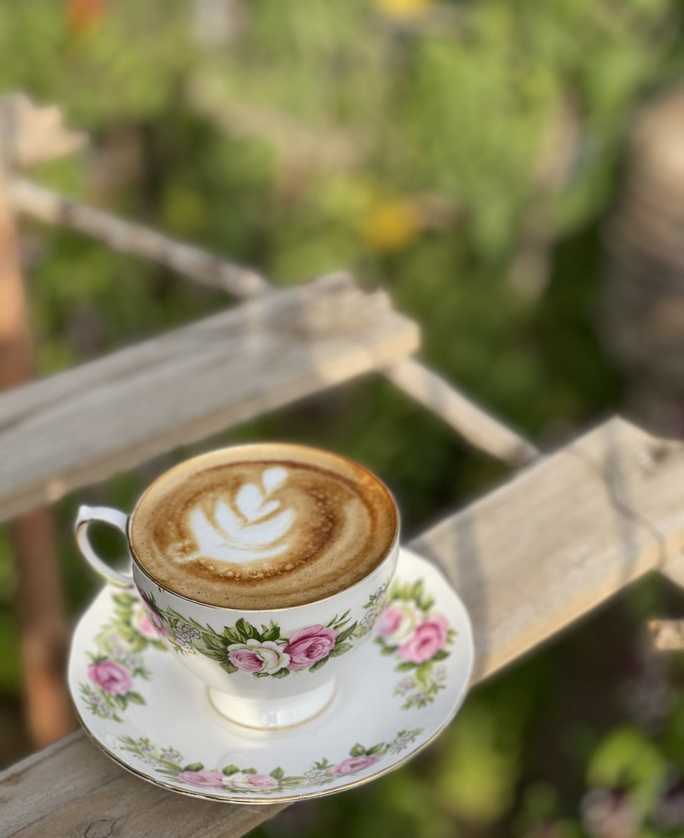 2017Vactory's tweet image. صحيح إن السحاب إنتي..
وأعشاب الربيع إنتي...
وأجمل من على هذا التراب إنتي..
وفي عز الليل لو بنتي..!
يطير الصبح من كف الربى عصفور 🕊🤍