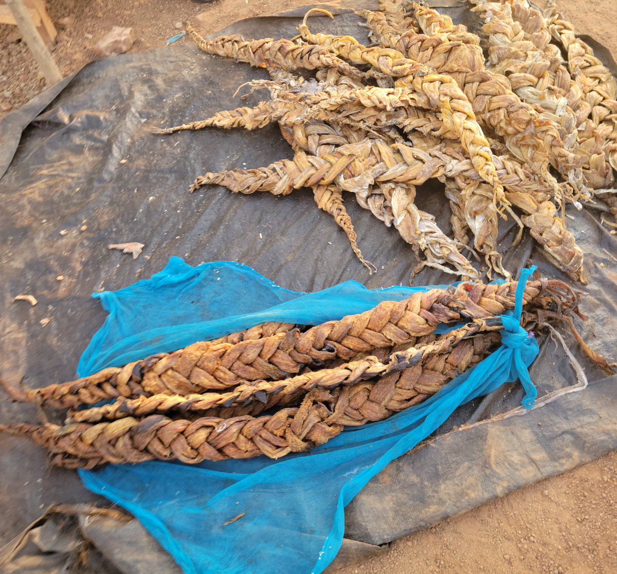 How can women's indigenous/traditional knowledge be harnessed for climate resilient livelihoods?#GECRESS engaging women in Bor, Jonglei State in South Sudan <a href="/SPARC_Ideas/">SPARC_Ideas</a> <a href="/obandojoyA/">Joy</a> <a href="/waterandclimate/">Mark Redwood</a> <a href="/katharine_v/">Katharine Vincent @katharinevincent.bsky.social</a> <a href="/chris_shisanya/">Chris Shisanya</a> <a href="/fngarachu/">Fiona Ngarachu</a> <a href="/faithkatts/">Faith mutavi</a> <a href="/WaiyegoMwangi/">Susan Waiyego MWANGI</a>