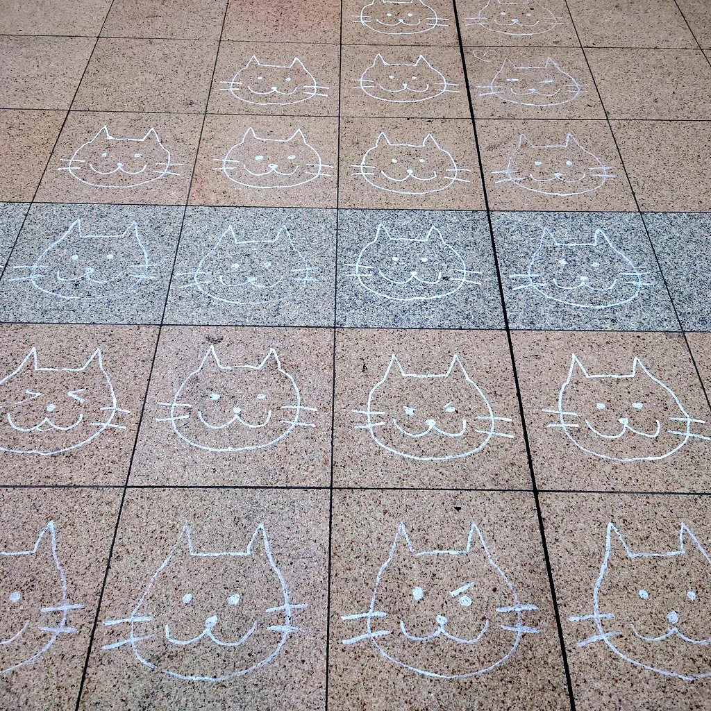 数日前に撮ってた。  