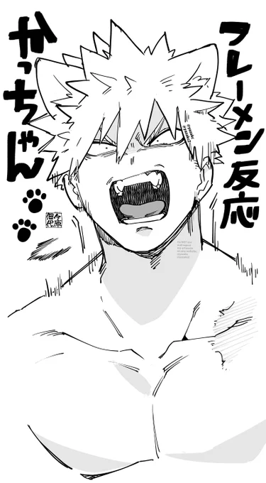 🐈ンガッ 