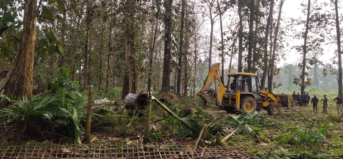 Assam Forest Department tweet media