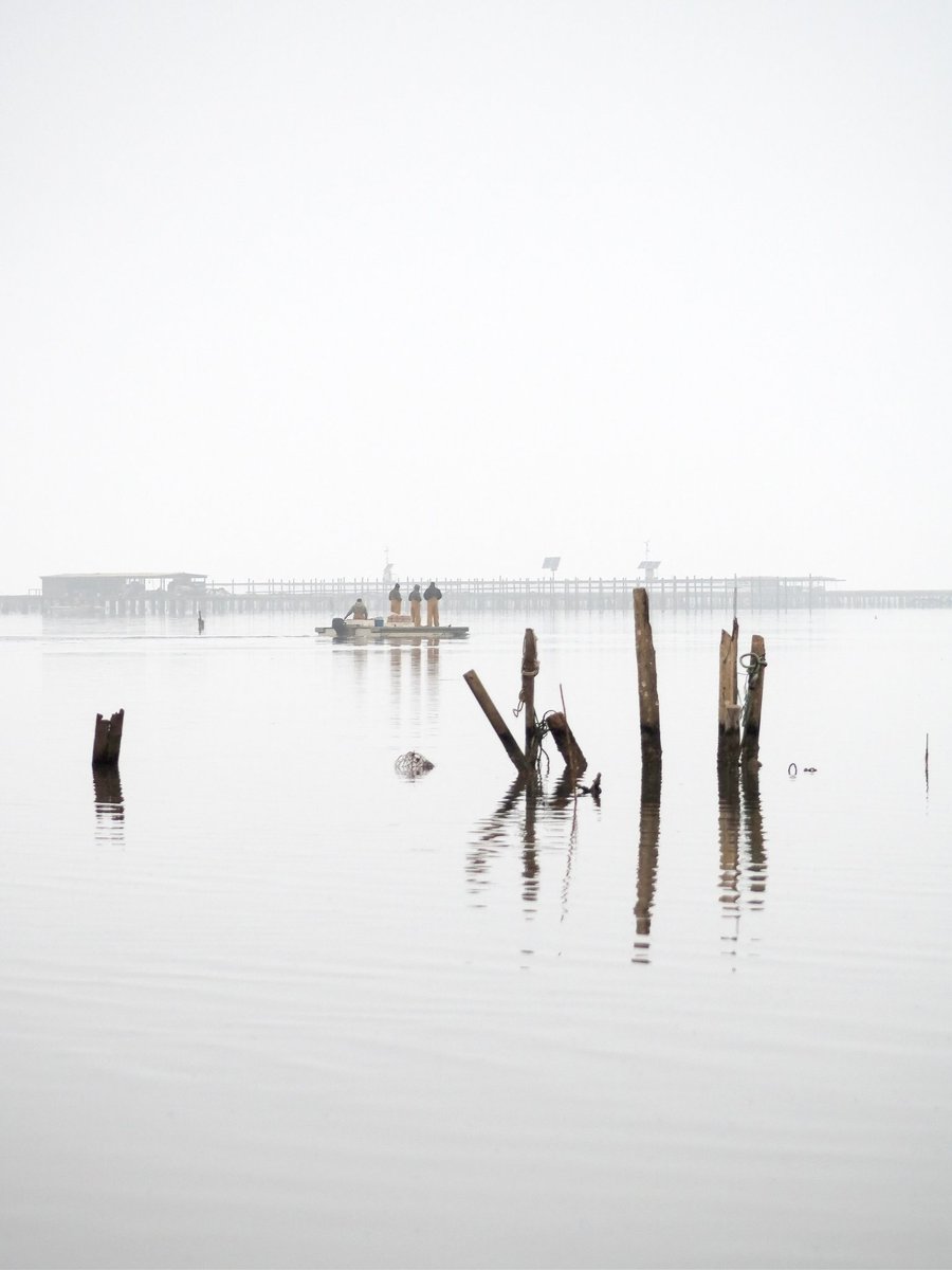 Boira matinal al Delta de l'Ebre.
<a href="/catexperience/">Catalunya Experience</a> <a href="/terresebretur/">Terres de l'Ebre</a> <a href="/TurismeLaRapita/">Turisme la Ràpita</a> <a href="/TurismeDeltebre/">Descobreix Deltebre</a> <a href="/lampollaturisme/">ampollaturisme</a>  <a href="/SocEcoturista/">Ecoturisme Catalunya 💙</a> <a href="/PDE/">Defensa de l'Ebre</a>