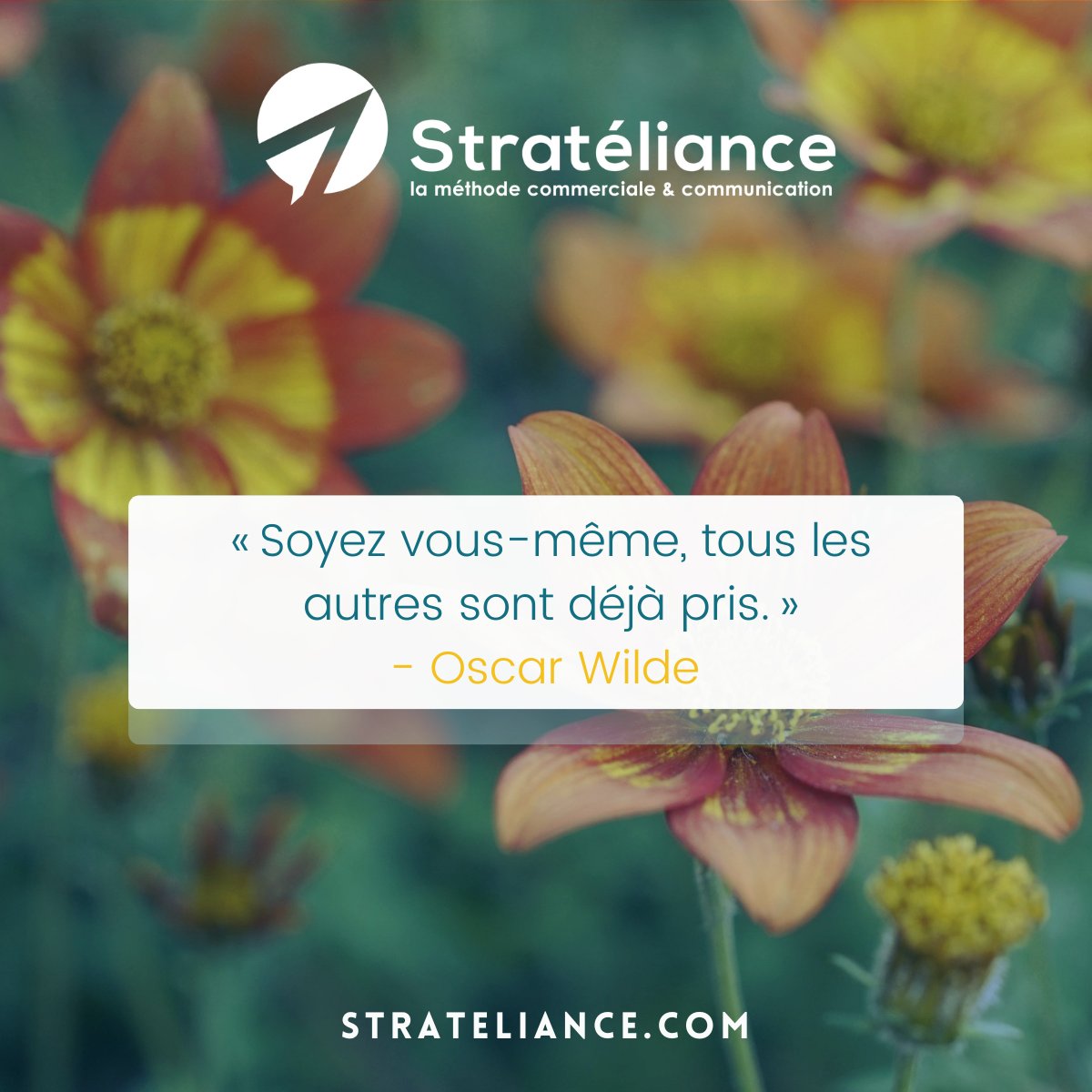 [ Citation ✍️ ]

Soyez vous-même, c'est la seule façon d'être authentique et de vous démarquer des autres.

#citation #developpementpersonnel #psychologiepositive #objectif #confiance #positiveAttitude #force #peur #reflection #entreprise #motivation