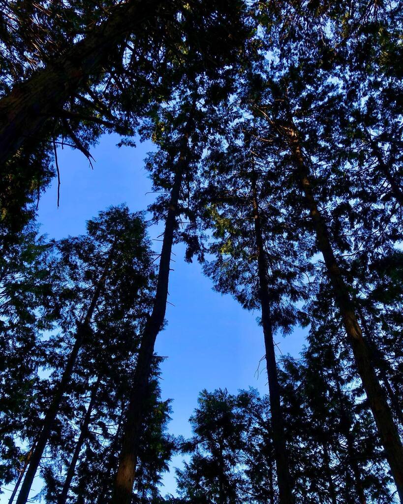 ri_hirori's tweet photo. 小峰公園

#小峰公園
#takenwithiPhone #photographyiPhone
#iPhone写真 #写真 #photo
#空 #そら #ソラ #Sky #空が好き
#空の写真を撮るのが好き
#ダレソラ #dare_sora
#今空 #いまそら #イマソラ
#晴れ #はれ #Sunny
#快晴 #かいせい #clearweather https://t.co/LzuB5BK230 https://t.co/8iR4DT4kjz