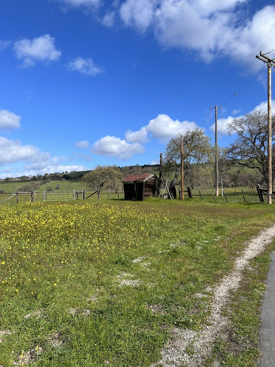 vaymclane's tweet photo. Todays run 🌞 https://t.co/ZJPF6cGATC