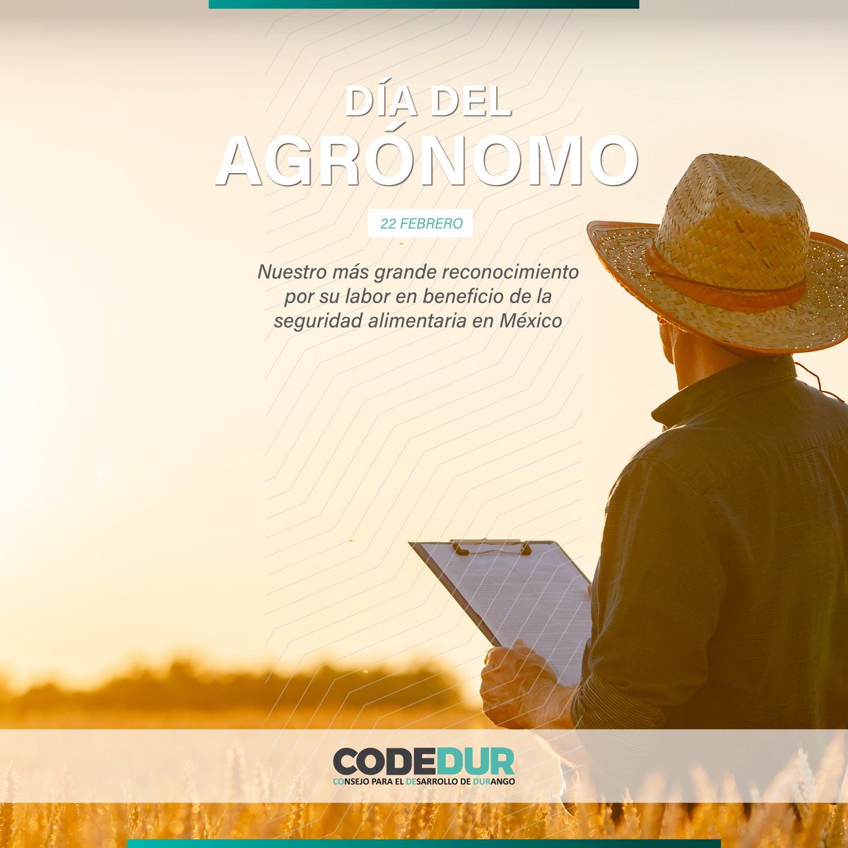 Hoy, 22 de febrero, se celebra el Día del Ingeniero Agrónomo en México, reconociendo el trabajo que realizan en beneficio del campo y su mejora continua.