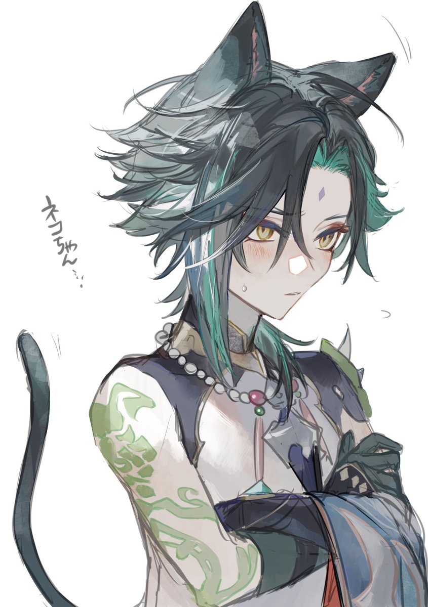 xiao (genshin impact) animal ears 1boy male focus tail bead necklace cat ears solo  illustration images