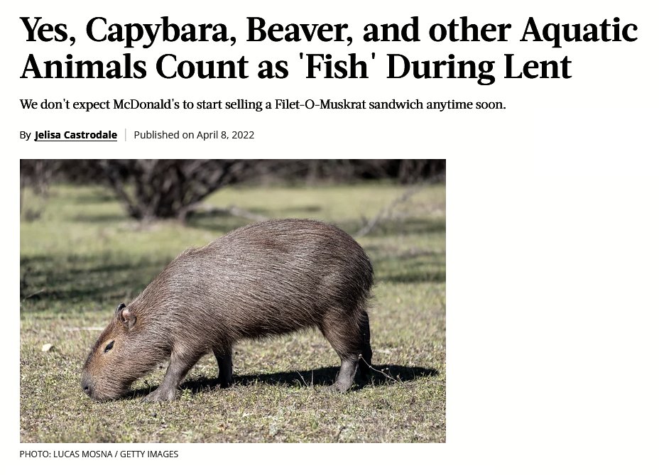 💾Molondrongo, Friendly Retrobara 📺 on Twitter: "RT @StuffCCLikes: Not