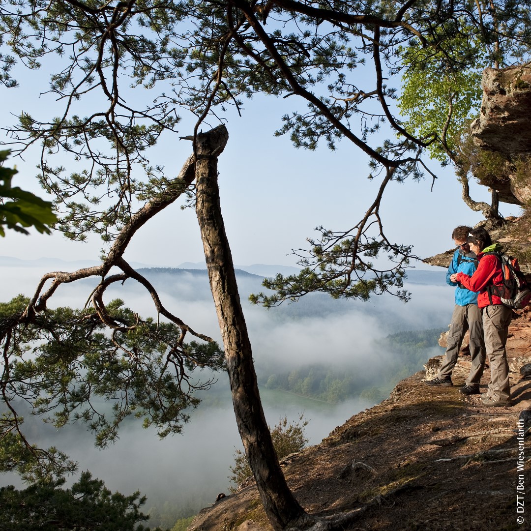 Ontdek Duitsland tweet media