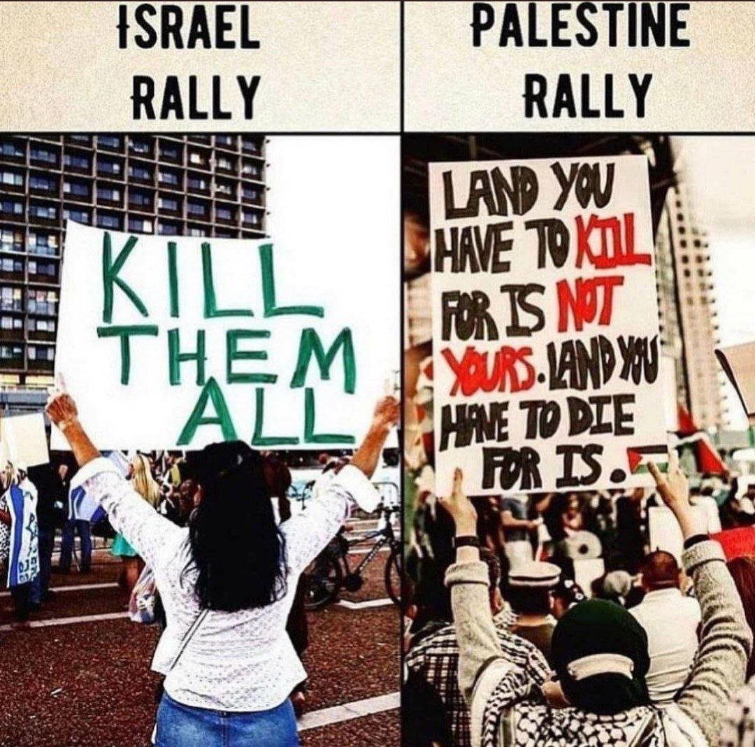 Peter Mayson On Twitter RT PalestineCultu1 Land You Have To Kill peter-mayson-on-twitter-rt-palestinecultu1-land-you-have-to-kill