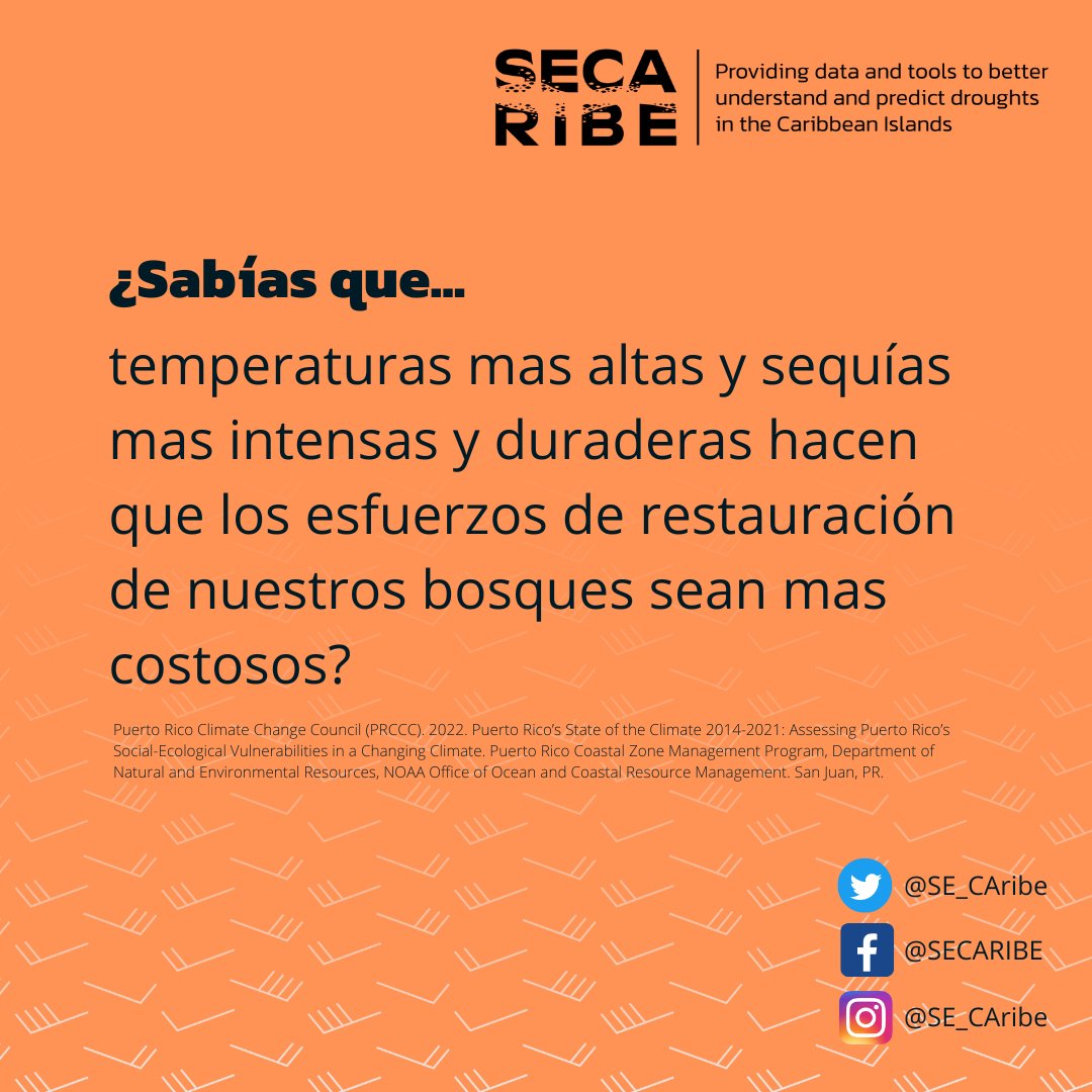 SECARIBE tweet media