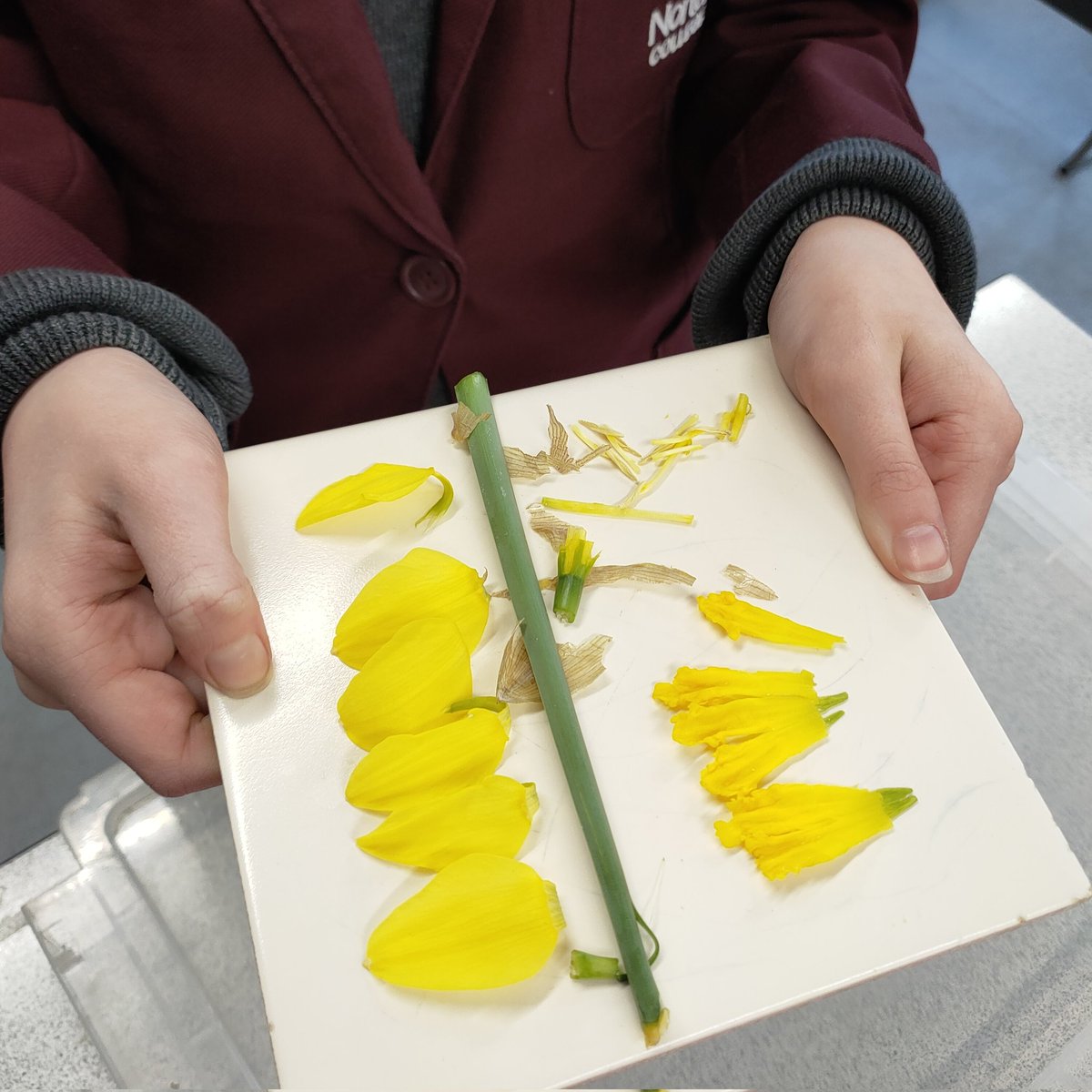 NortonScience tweet media