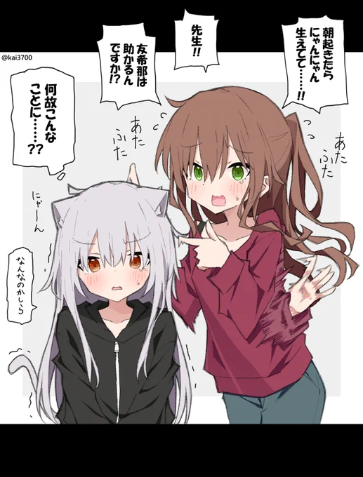 にゃーにゃーにゃー!! 