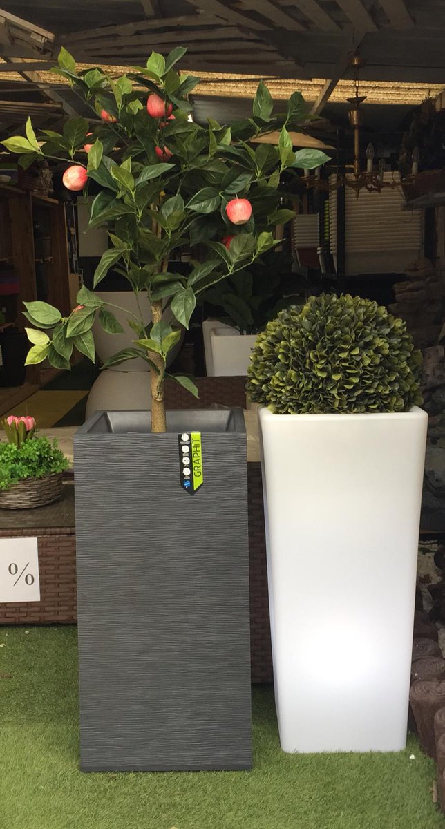 Imagínatelos en tu casa... ¿No quedarían estupendos? 😍

¿Tenemos todo lo que necesitas para que tu hogar sea único!

🪴🌹 ¡Ven a visitarnos en Carretera Fuentes Blancas (junto Bulevar)! 🌹🪴
