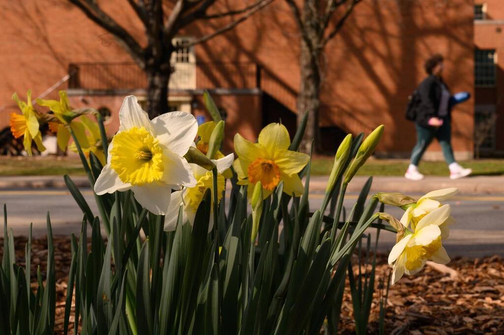 Wake Forest Photography tweet media