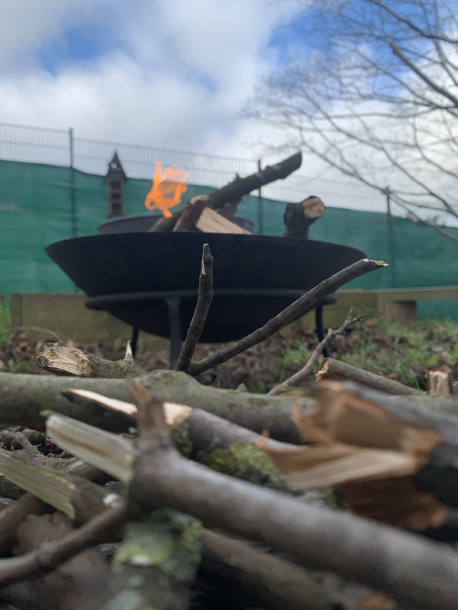 MinibeastAD's tweet photo. I know we are a day late. But what can we do?  @ravenshall 

#pancakedday #pancakes #makingpancakes #bushcraft #minibeastadventures #minibeasts https://t.co/7OJq2QIfbc