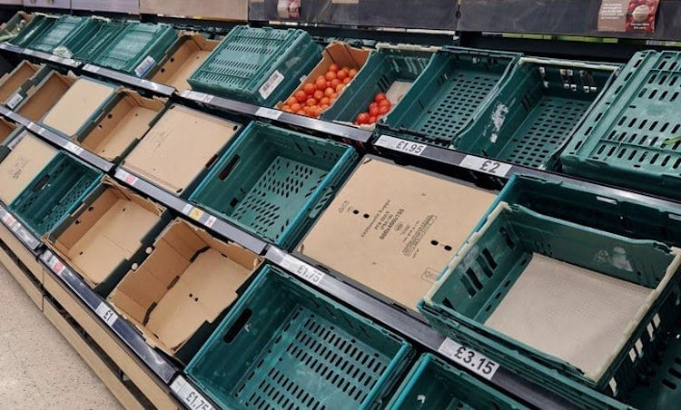 Supermercados británicos se quedan sin hortalizas por la falta de suministro desde España. Algunas cadenas restringen la venta a 2 o 3 unidades por persona

hortoinfo.es/escasez-hortal…