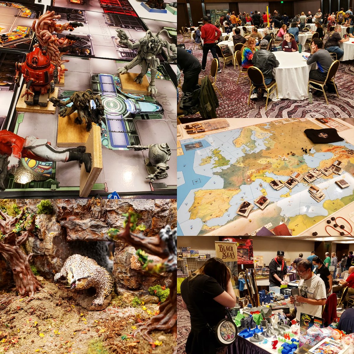 mrkapao's tweet photo. Good times at @Strategicon's #OrcCon2023!
#strategicon #strategicon2023 #orccon #boardgames #minitures #ttrpg #games #gamers https://t.co/GPt5wkiotx