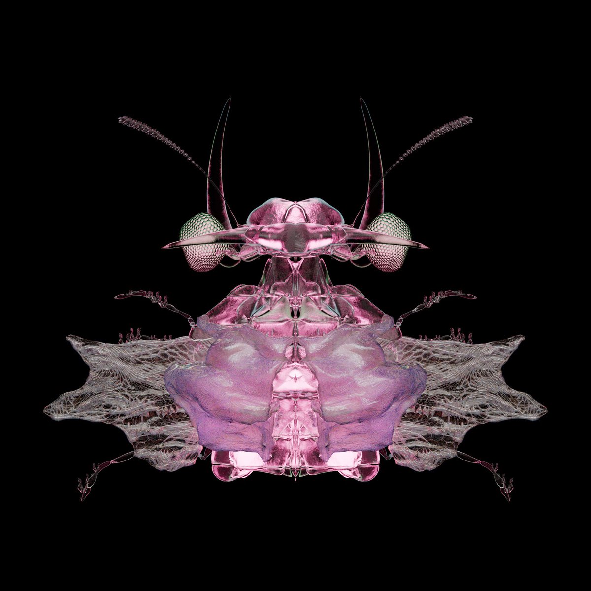 LOADING…🔥🔥

the anticipation builds as we prepare our lab for the next phase 🧬🐛🪲

Stay tuned for what's to come 👀👀👀