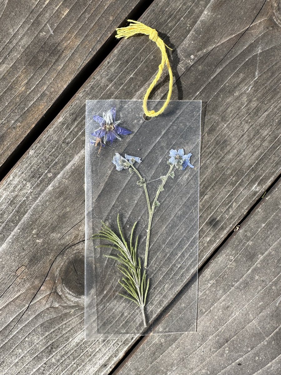 West Portal Elementary Garden tweet media