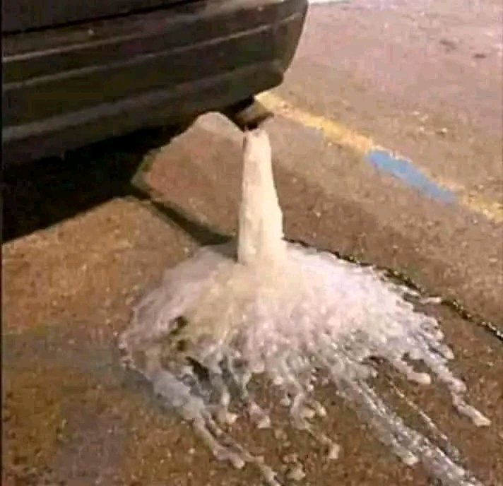 Quand tu embrasses un garçon chaste pour la première fois 🤣