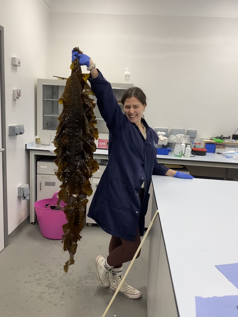 Fraser Brough tweet media