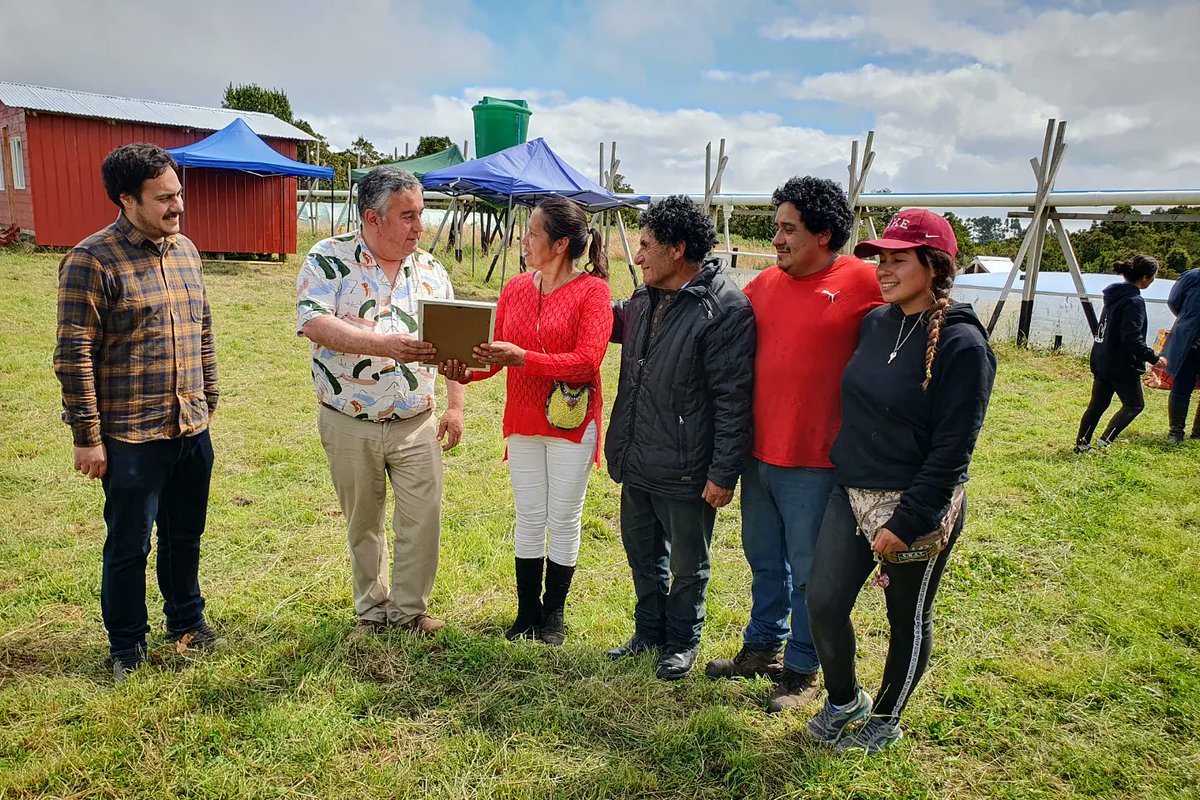 subturismo's tweet photo. 🏞 TURISMO SUSTENTABLE 🌧
Equipo de Subsecretaría y de @Gober_LosRios visitaron Isla de #Quehui en #Chiloé a revisar empredimiento turístico que obtuvo la 1ra resolución sanitaria en el proyecto "Sistemas Sanitarios Sustentables", el que podría replicarse en #RegiónDeLosRíos 🍃. https://t.co/3VBUpbjaZX