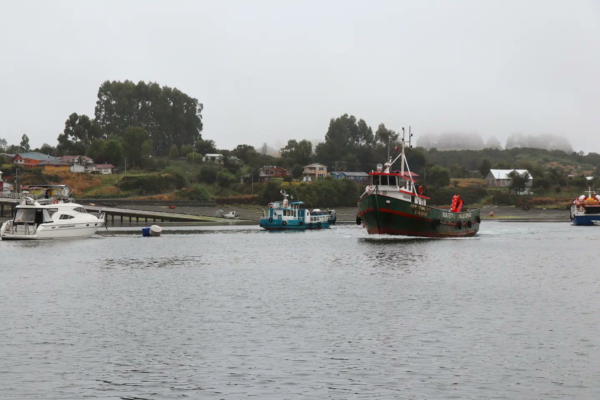 subturismo's tweet photo. 🏞 TURISMO SUSTENTABLE 🌧
Equipo de Subsecretaría y de @Gober_LosRios visitaron Isla de #Quehui en #Chiloé a revisar empredimiento turístico que obtuvo la 1ra resolución sanitaria en el proyecto "Sistemas Sanitarios Sustentables", el que podría replicarse en #RegiónDeLosRíos 🍃. https://t.co/3VBUpbjaZX