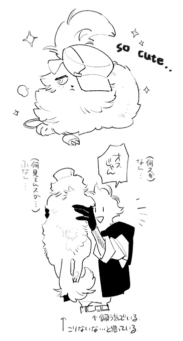 @Witchcraft430AA ニャイデン君可愛すぎたんです 