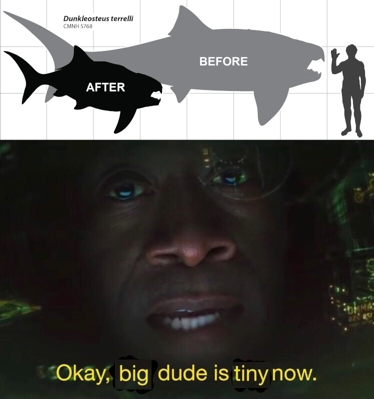 friel's tweet photo. #Dunkleosteus #Downsizing https://t.co/qq2m3UHnKv