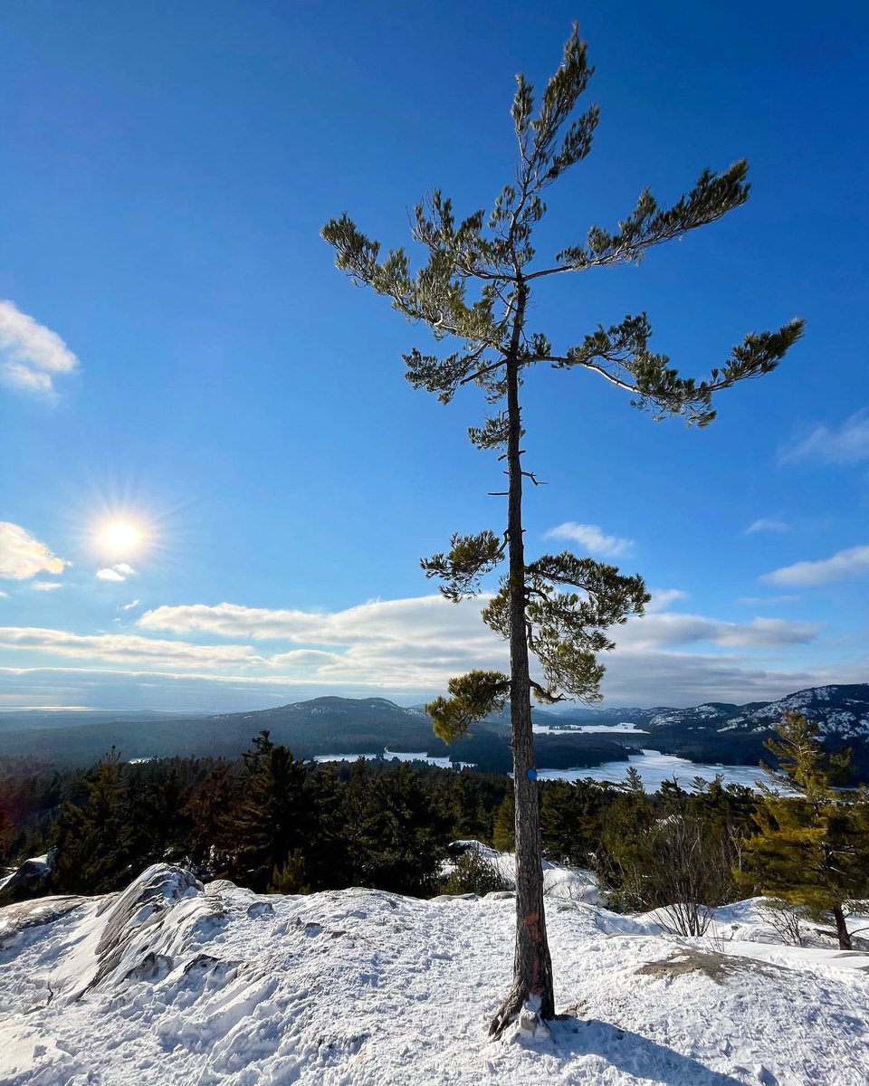 PaddleKillarney's tweet photo. Another WOW winter Killarney Provincial Park shot, shared with us by Breanna Ferguson.

Thank you, Breanna!

When the winding trees lead to a view like this.. 💭 #KillarneyProvincialPark #KillarneyOntario #KillarneyOutfitters https://t.co/7UUAddFMHR