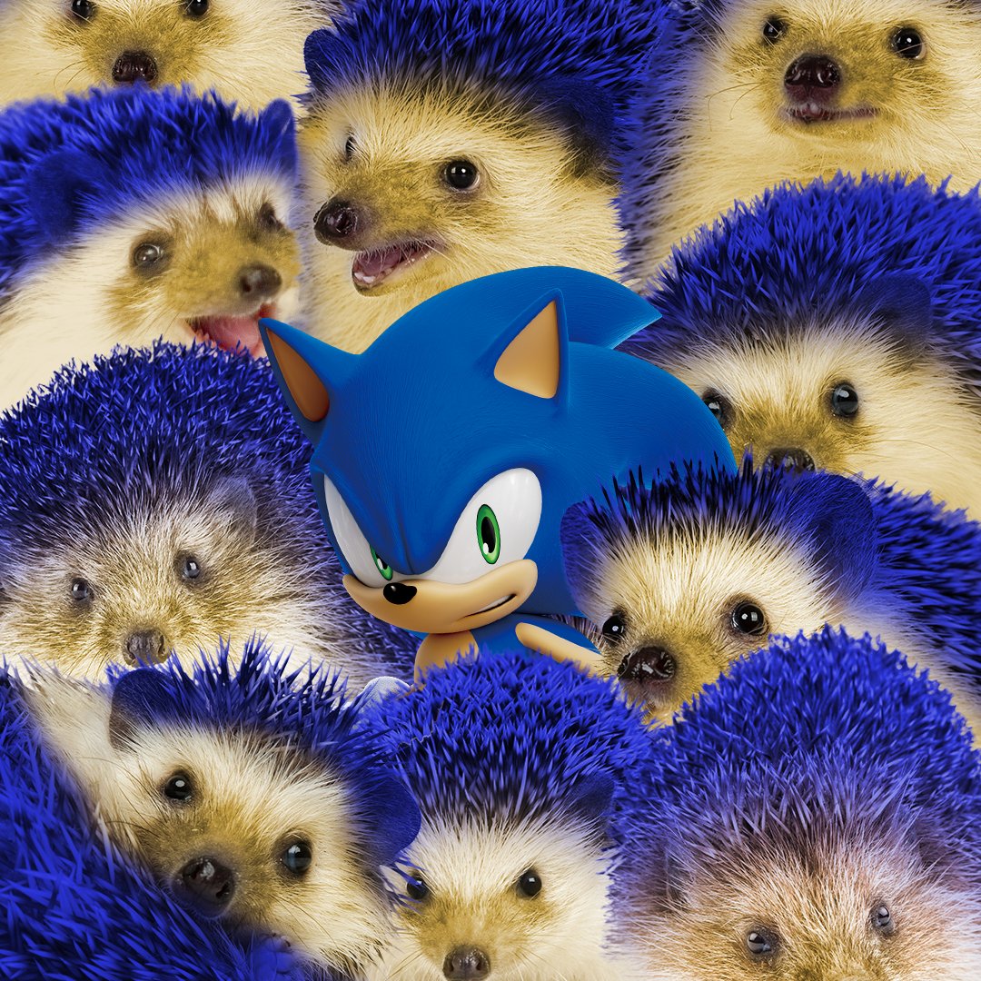 sonic ra max 2 w