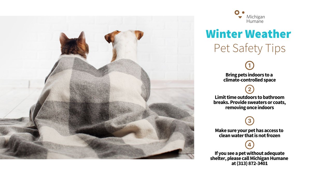 Some safety reminders for our furry friends during this winter storm!