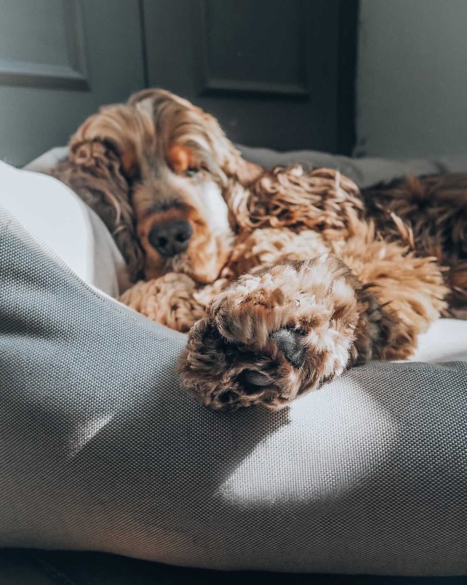 Project Blu tweet media