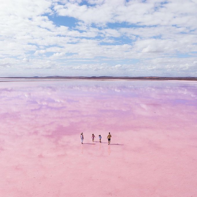 Pretty in pink 🌸💗🎀  Less than a two-hour drive from Tarntanya&nbsp;(@CityofAdelaide) in @southaustralia, you'll<a href="/tag/seeaustralia"class="tags"><span>#seeaustralia</span></a><a href="/tag/comeandsaygday"class="tags"><span>#comeandsaygday</span></a><a href="/tag/lakebumbunga"class="tags"><span>#lakebumbunga</span></a>