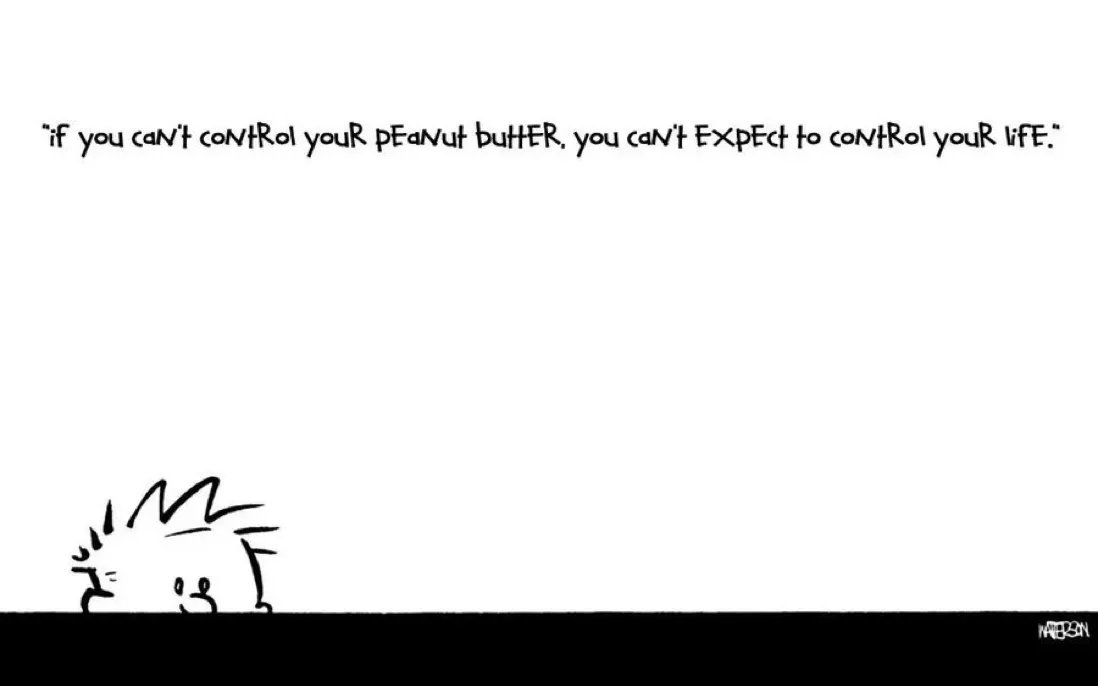 Calvinn_Hobbes's tweet photo. Life advice from Calvin. #CalvinandHobbes https://t.co/rZ9rt2vsSm