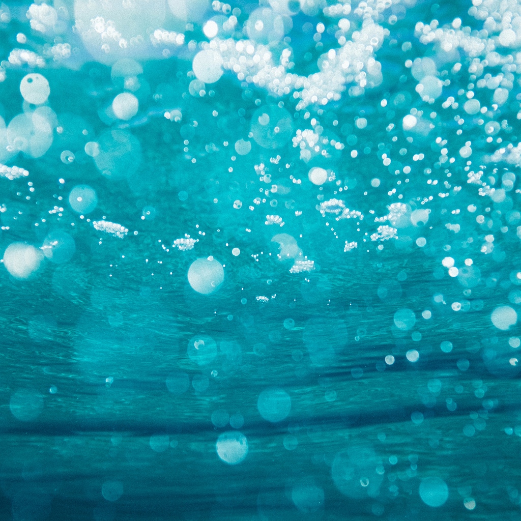 LeapFrog Design tweet media