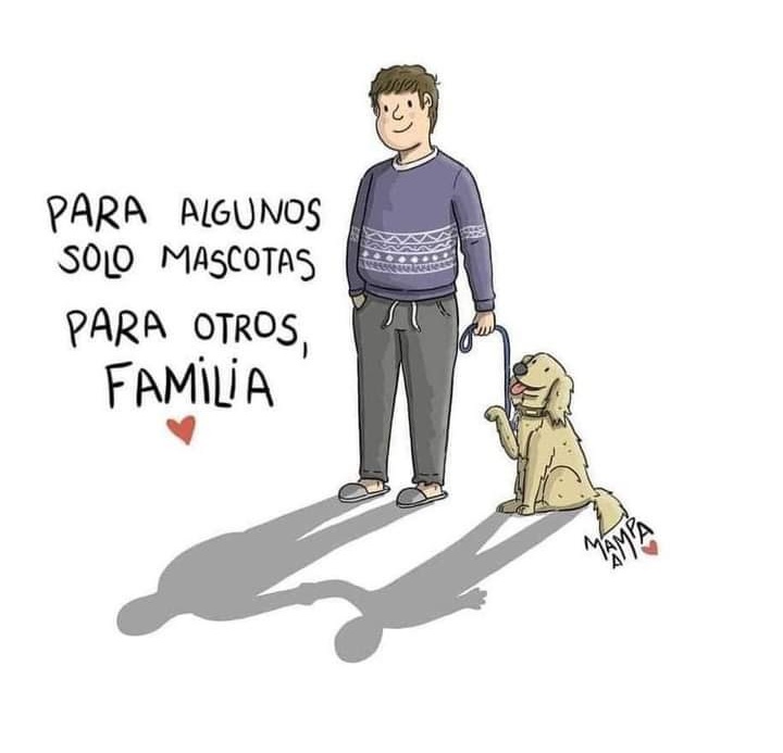 LealCan's tweet photo. ¡𝗣𝗮𝗿𝗮 𝗻𝗼𝘀𝗼𝘁𝗿𝗼𝘀 𝗳𝗮𝗺𝗶𝗹𝗶𝗮! 💙🐾 https://t.co/tKu5ayv3Xm