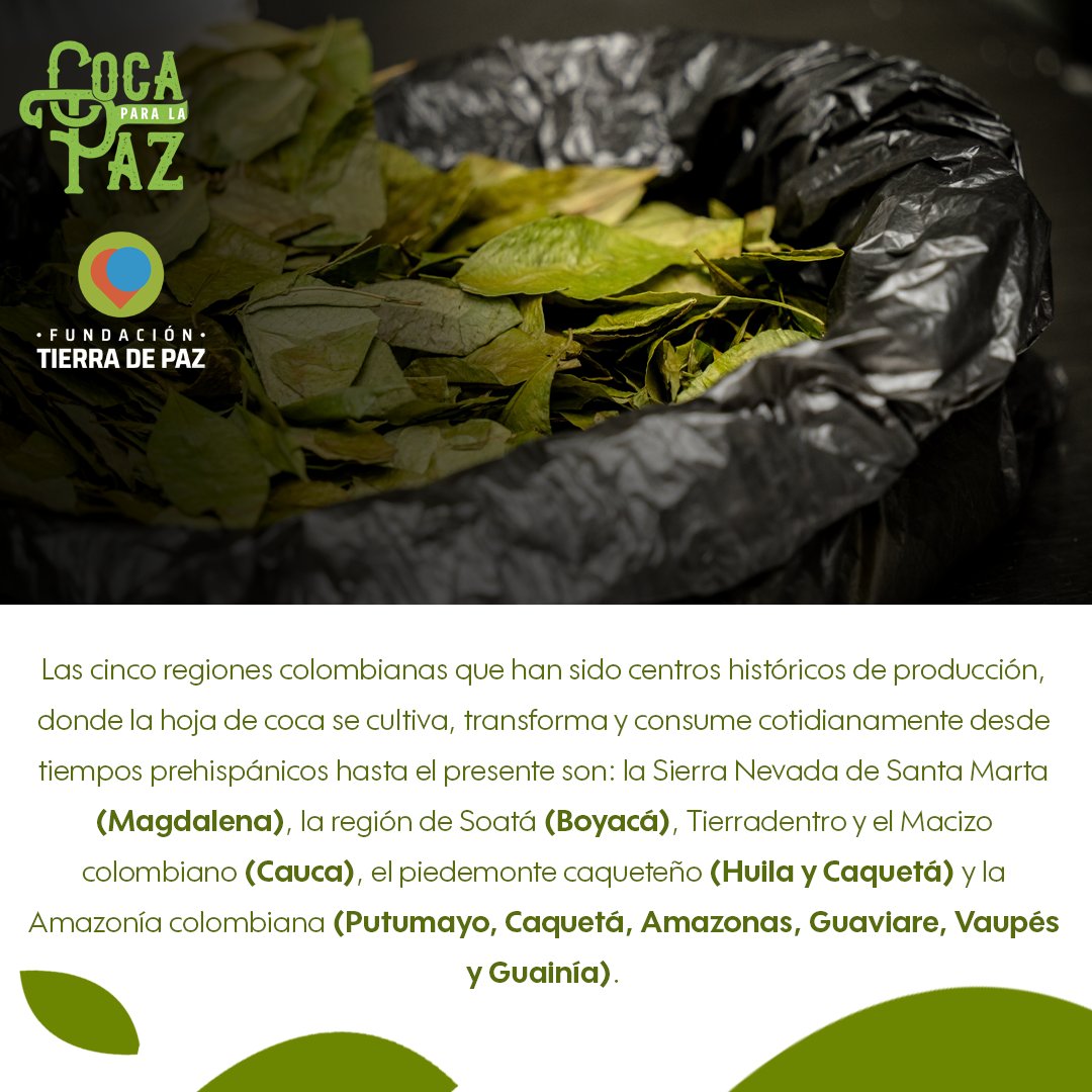 Coca Para la Paz (@cocaparalapaz) on Twitter photo 