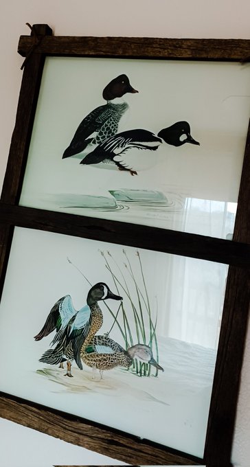 When your client has ducks fucking artwork in their Airbnb kids room 😅  #maidstruggles #hiddenmessage<a href="/tag/fuckingartwork"class="tags"><span>#fuckingartwork</span></a><a href="/tag/hiddenmessage"class="tags"><span>#hiddenmessage</span></a><a href="/tag/maidstruggles"class="tags"><span>#maidstruggles</span></a>