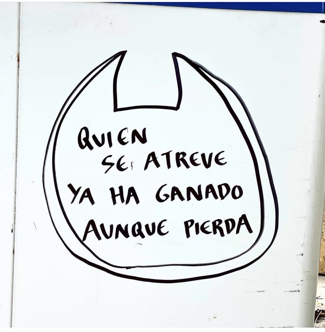Cata Torrillo (@torrillocata) on Twitter photo 