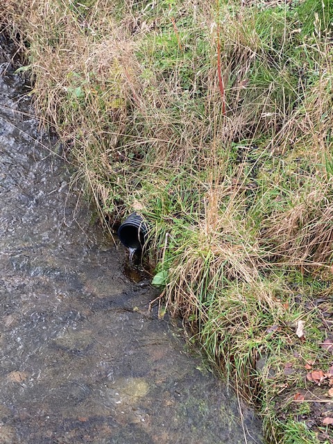 Michael Strahand tweet media