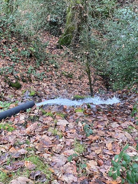 Michael Strahand tweet media