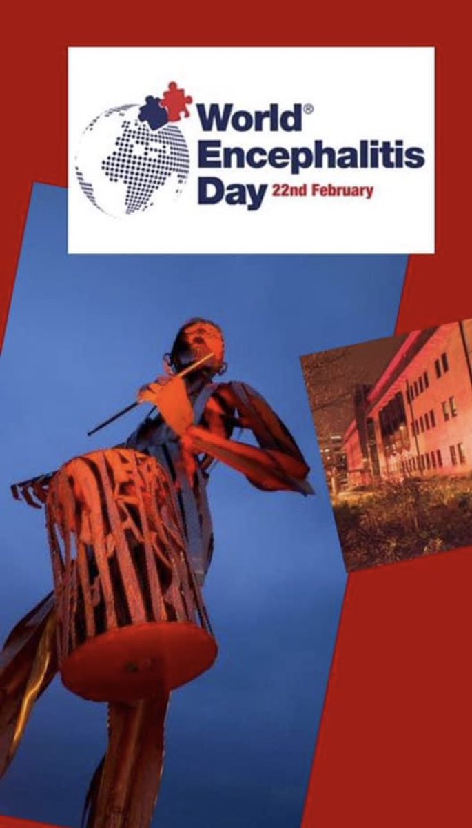 MaryforDerry's tweet photo. Today is World Encephalitis Day 🧠
❤️ Míle buíochas to @mayordcsdc for lighting up @dcsdcouncil offices #RedforWed tonight.
#WorldEncephalitisDay
@encephalitis https://t.co/hvL6SAjsUw